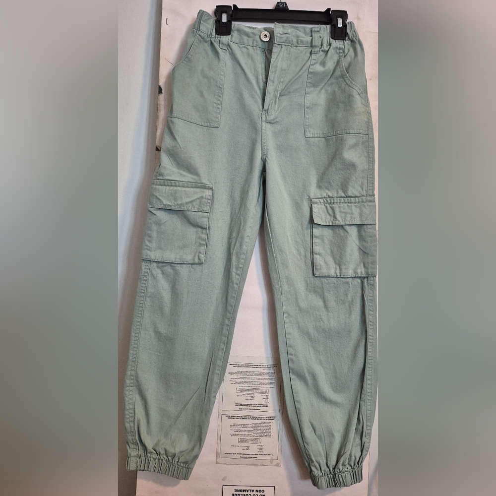 Pink Velvet Light Green Cargo Pants Worn Twice Times